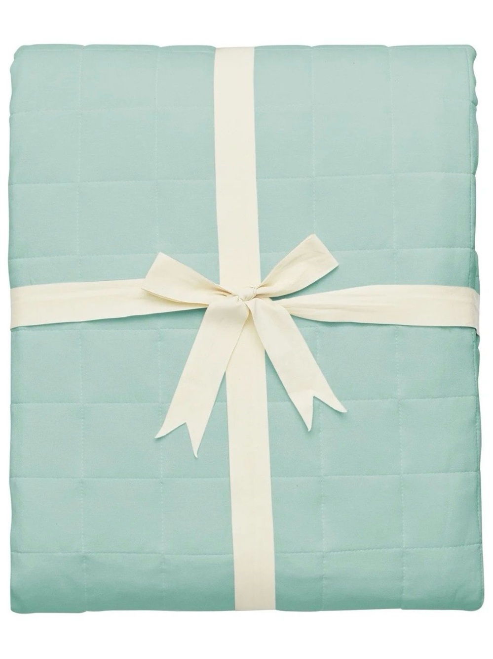 Kyte Baby 2.5 Tog Adult Blanket - Sage